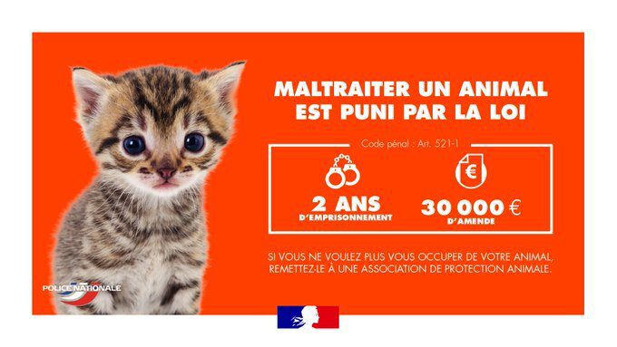 maltraitance-animale-sept-2024